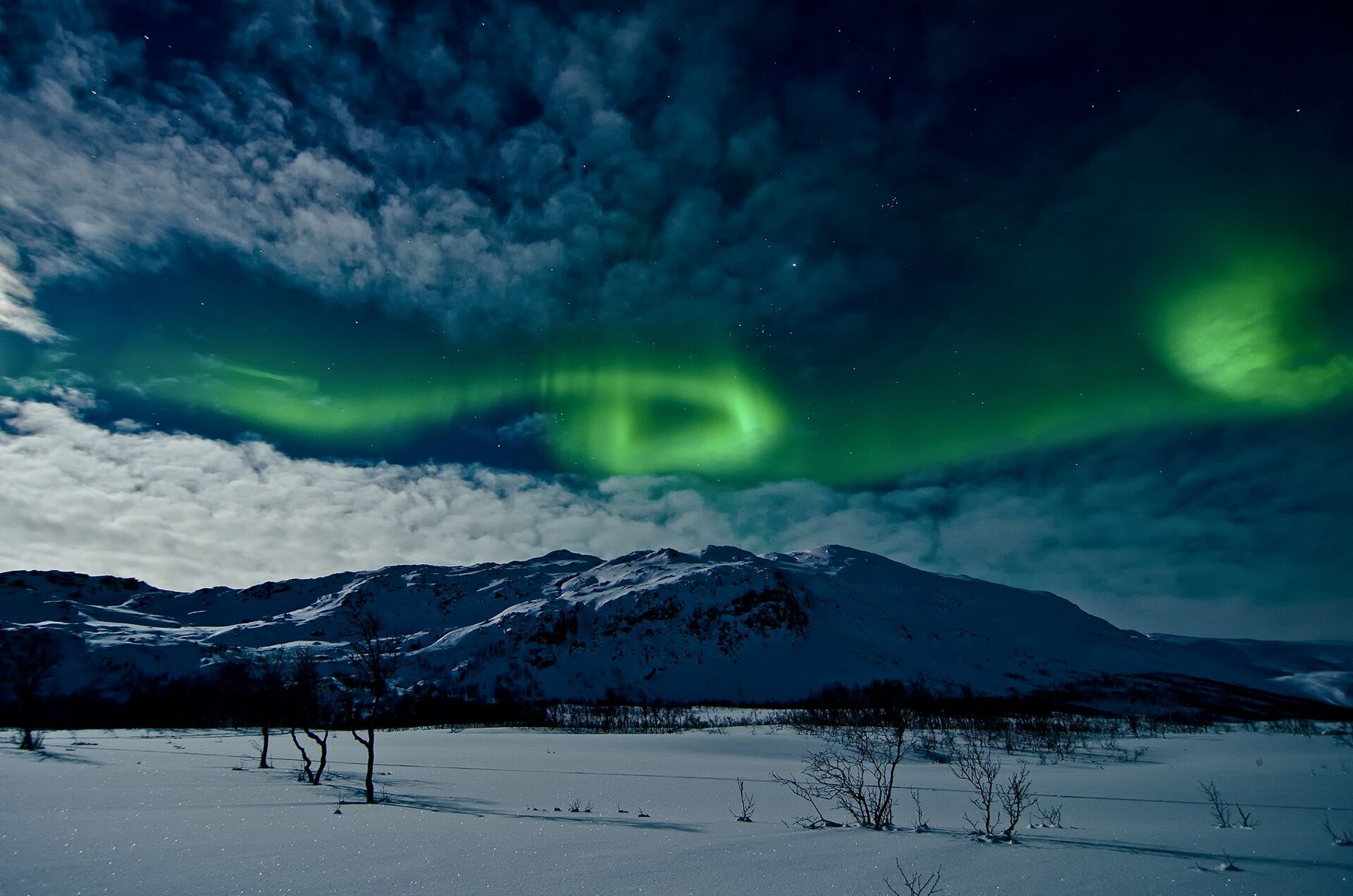 Aurora above snowy mountains