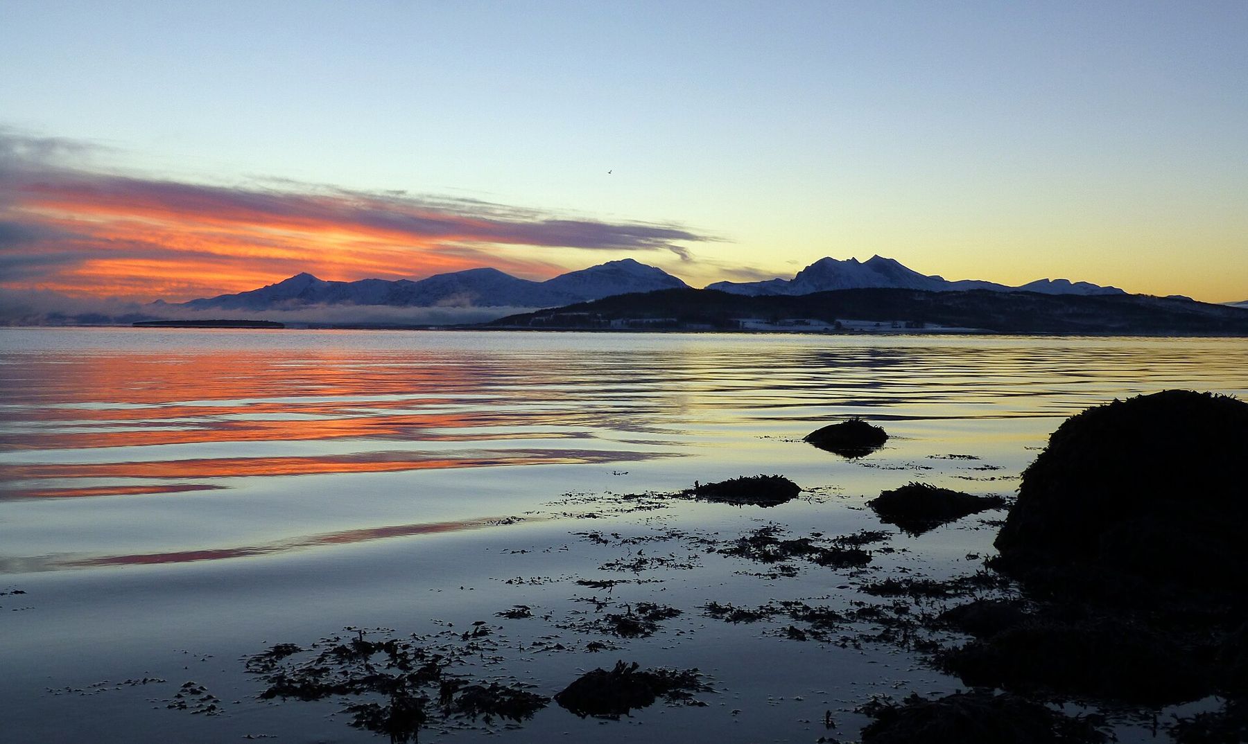 Polar evening light over a fjord